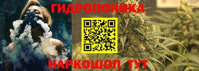 бошки Ставрополь
